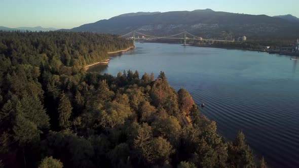 Green Forest At The Stanley Park Overlooking The Lions Gate Bridge Over The Burrard Inlet In Vancouv