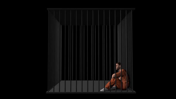 Man in the Cage