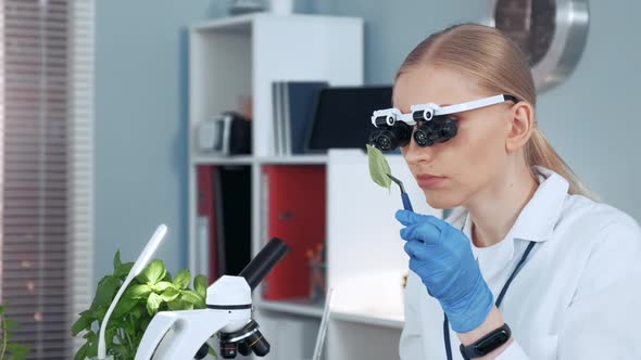 Closeup of Female Chemistry Research Scientist in Magnifying Eyeglasses Looking on Sample