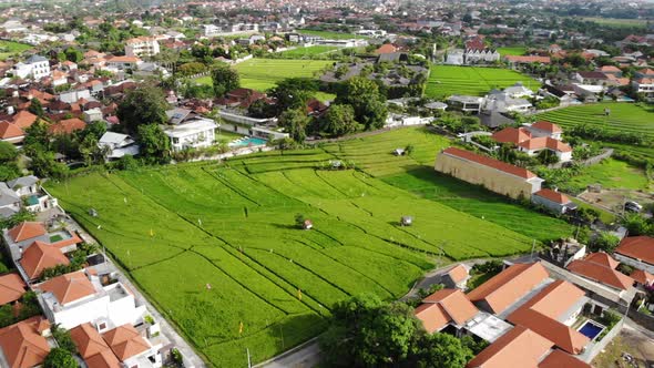 Rice Fields and Villas in Kerobokan, Bali