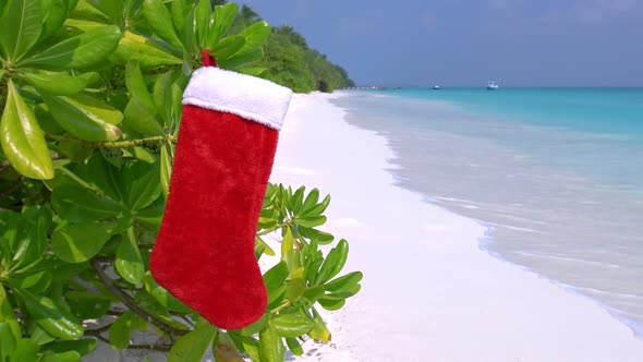 Christmas Stocking Hanging on Plant with Green Leaves at the Beach on Island