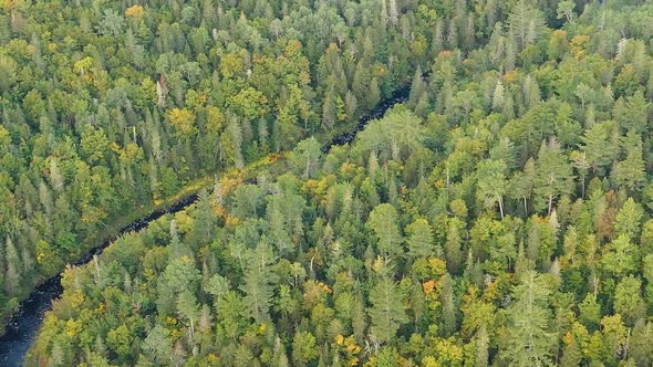 Aerial footage of a stream in the woods as the drone flies diagonally up and to the right.