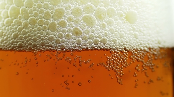 Beer Is Poured In a Glass 2 alt