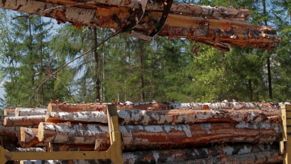 Logging Truck At Lumber Mill Loaded With Logs alt