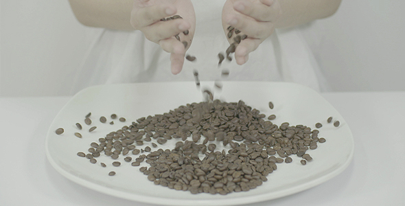 Coffee Beans in Hands