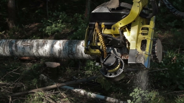 Harvester Working In a Forest