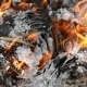 Burning Paper - VideoHive Item for Sale
