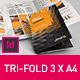 Brochure 3xA4 Tri-fold Indesign Template  - GraphicRiver Item for Sale