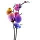 Orchid Isolated Flower - GraphicRiver Item for Sale