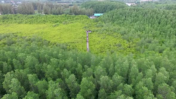 Aerial Shot of Golden Meadow (Tung Prong Thong)Rayong District, Thailand