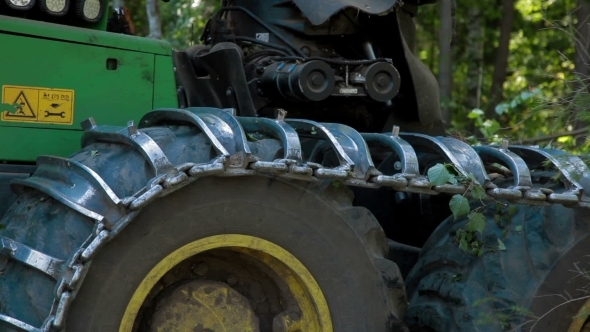 Feller Buncher Drives Through Clearing In Forest