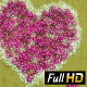 Flower Meadow in the Form of Heart - VideoHive Item for Sale