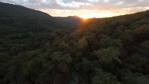 Aerial Fpv Sport Drone View Flying Picturesque Dense Wooden Treetops at Epic Sky Sunset or Sunrise