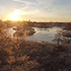 Swamp Lakes - VideoHive Item for Sale