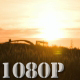 Sunset Tractor Through Wheat Field - VideoHive Item for Sale