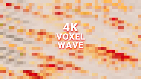 Voxel Wave