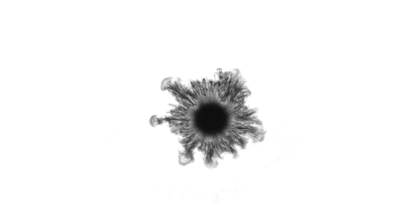 A Drop Of Ink Spreads On A White Background