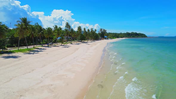 Drone flying at the tropical white beach with coconut trees