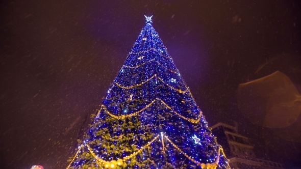 Christmass Tree With Garland At Evening City