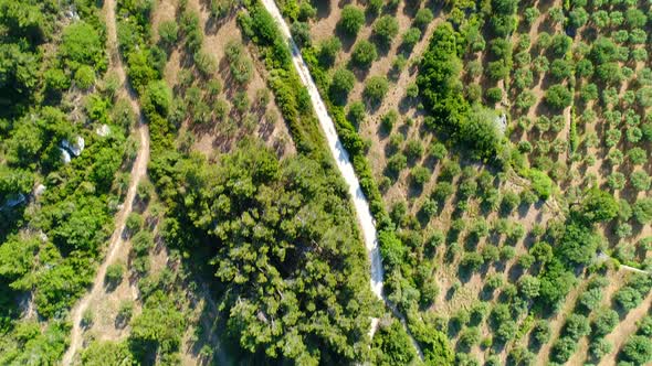 Alpilles natural park near Les Baux-de-Provence in France from the sky