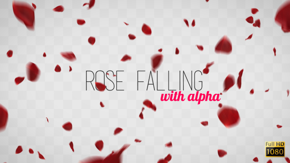 Rose Falling