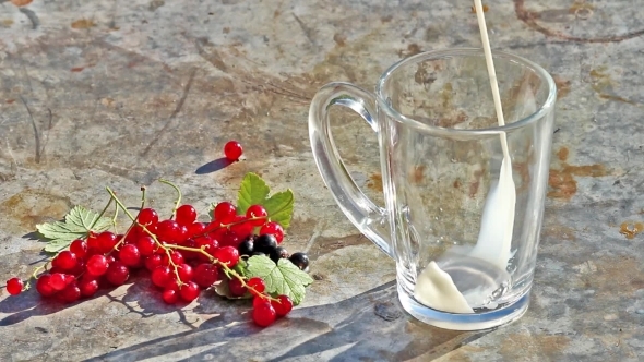 Glass Cup With Pouring Milk And Red Currants Berries In Day Light