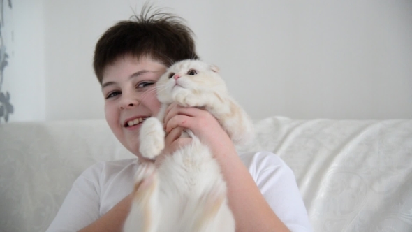Teenage Boy Playing With  Kitten 4 Months