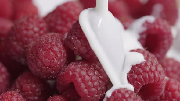 Pouring Juicy Fresh Raspberries Into Cream or Yoghurt