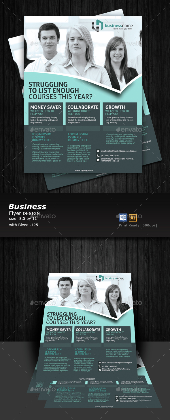 Business A4 Flyer Design