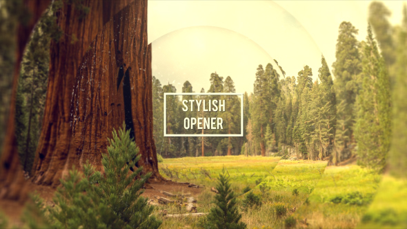 Stylish Media Opener