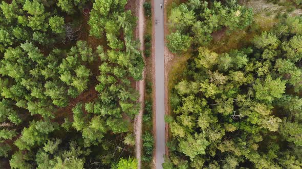 AERIAL: Two Friends Cyclists Drives on an Asphalt Road in the Middle of the Forest