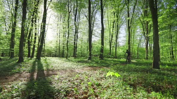 A Cyclist is Driving at Speed Along a Forest Path