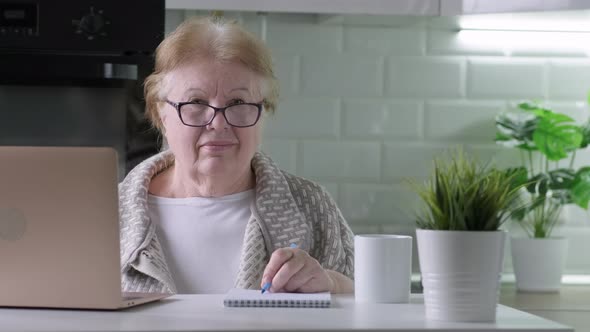 Video Portrait of Smiling Elderly Woman Wearing Glasses Sitting at Desk with Laptop