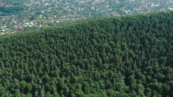Aerial Drone View of Houses in the Green Forested Mountains