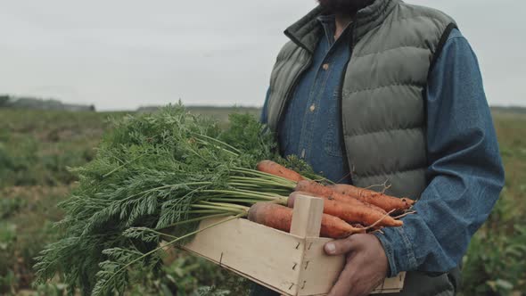 Man With Box Of Carrots