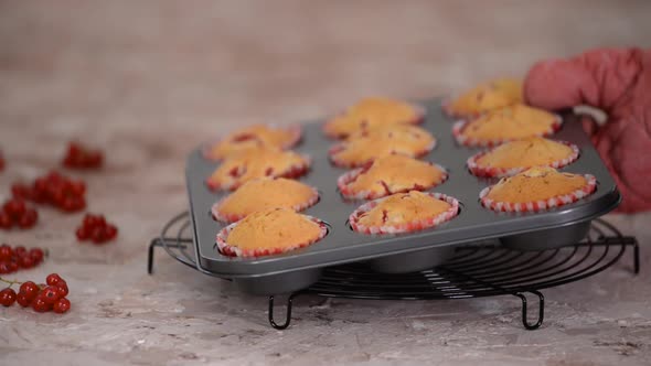 Freshly Baked Homemade Redcurrant Muffins