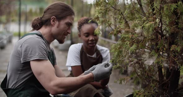 Multiracial Colleagues Checking Quality of Potted Tree