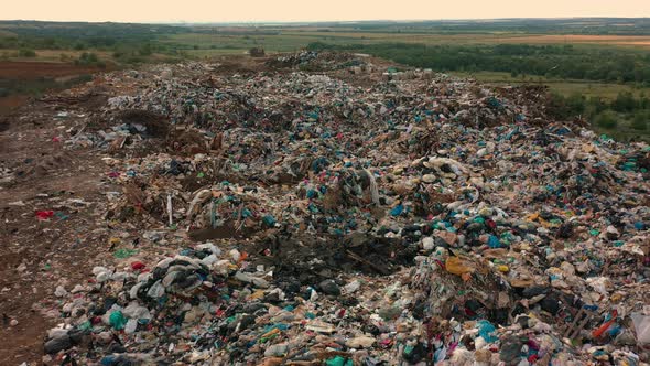 Birds Flying Above City Dump Site or Landfill Plastic Waste From Household