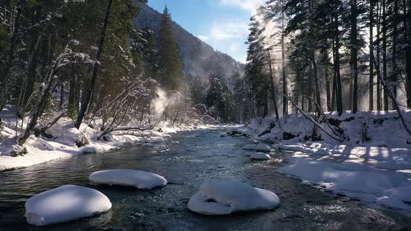 Beautiful Snow Scene Forest in Winter