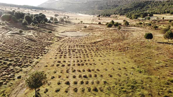 Sad Hill Cemetery in Spain. Aerial View