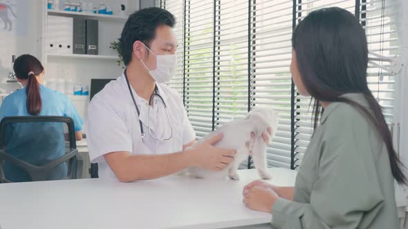 Asian veterinarian with stethoscope work to examine cat during appointment in veterinary clinic.