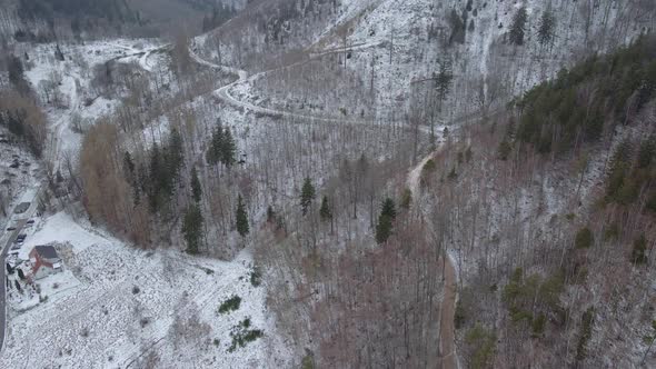 Aerial View of Mountains Covered with Snowy Forest