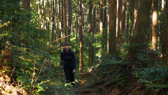 Slow motion, female hikes towards camera through forest, filtered sunlight