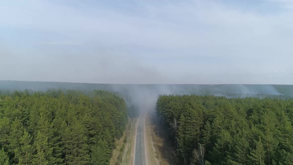 Aerial view of Forest fire 06