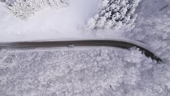 Drone Chase Silver Car Driving on Winter Road Through Frozen Pine Forest