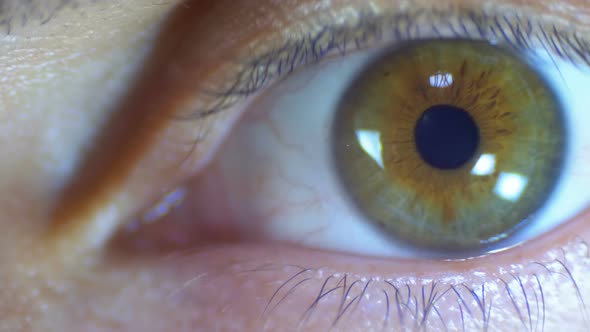 Macro Close-up Male Human Eye Blinking. Slow Motion