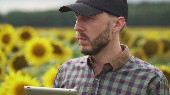 Portrait Farmer Man Stands in Field of Sunflowers and Works on a Screen Tablet Investigating Plants