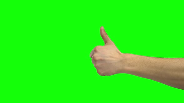 Arm of Man Showing Thumb Up. Chroma Key. Close Up