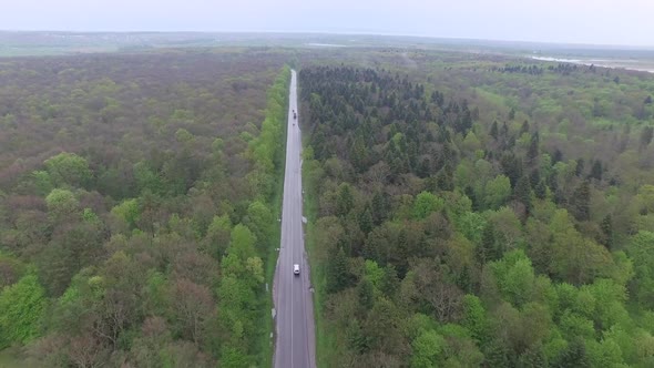 Flying Over Through Small Road with Cars in Green Forest