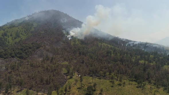 Forest Fire in the Mountains